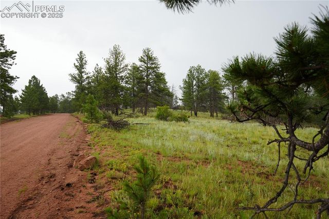308 Chapparal Trail, Florissant, CO 80816