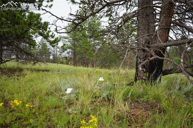 308 Chapparal Trail, Florissant, CO 80816