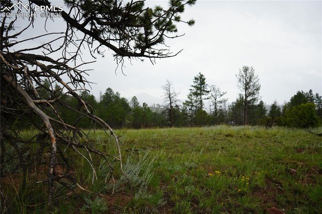 308 Chapparal Trail, Florissant, CO 80816