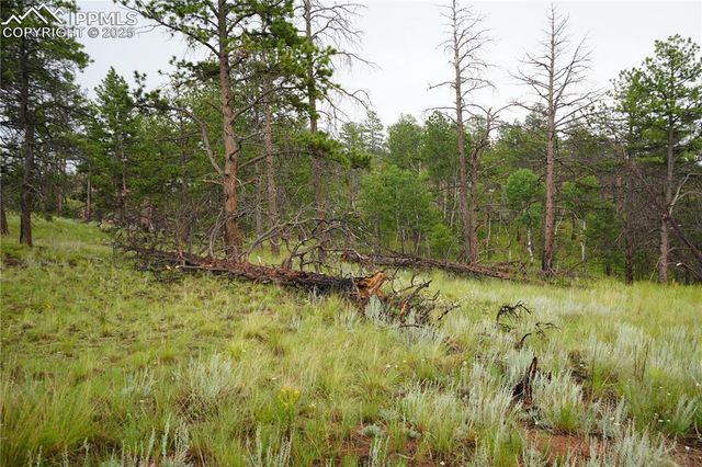 308 Chapparal Trail, Florissant, CO 80816