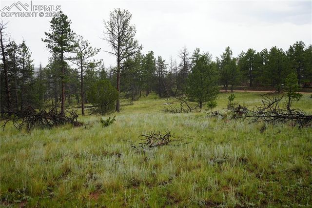 308 Chapparal Trail, Florissant, CO 80816