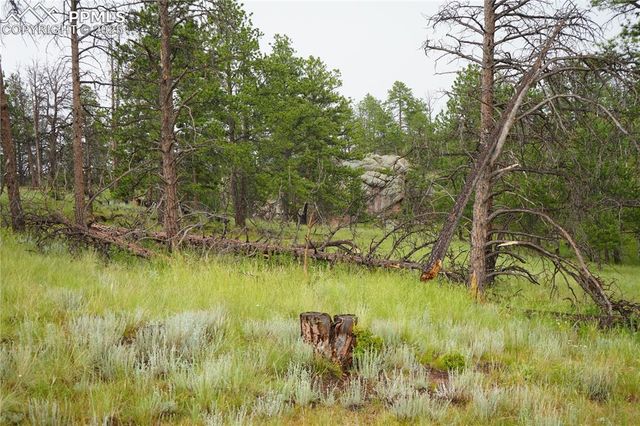 308 Chapparal Trail, Florissant, CO 80816