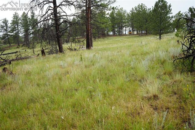 308 Chapparal Trail, Florissant, CO 80816