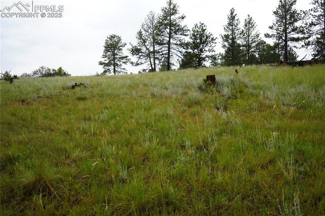 308 Chapparal Trail, Florissant, CO 80816