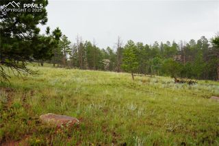 308 Chapparal Trail, Florissant, CO 80816