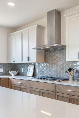 5036 Airlake Draw, Woodbury, MN 55129