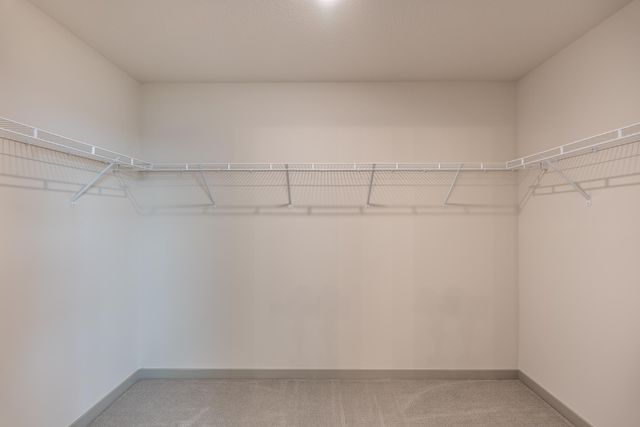 5036 Airlake Draw, Woodbury, MN 55129