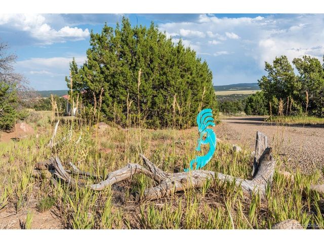 80 Moose Trl, Walsenburg, CO 81089