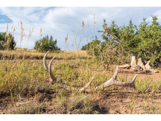 80 Moose Trl, Walsenburg, CO 81089