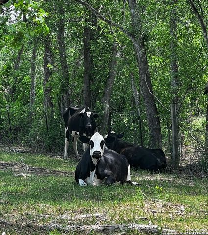 304 County Road 6611, Devine, TX 78016