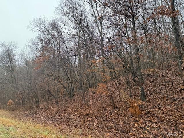 19914 State Highway MM, Glen Allen, MO 63751