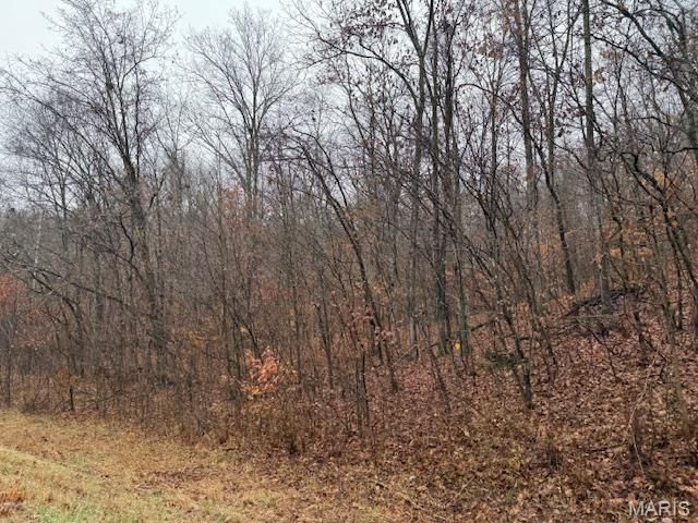 19914 State Highway MM, Glen Allen, MO 63751