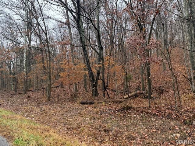 19914 State Highway MM, Glen Allen, MO 63751