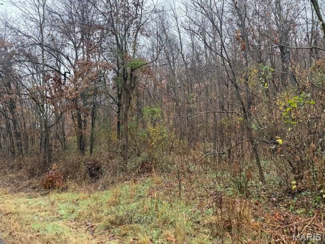 19914 State Highway MM, Glen Allen, MO 63751