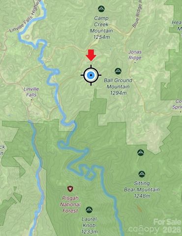 7039 Joe Bowman Avenue, Newland, NC 28657