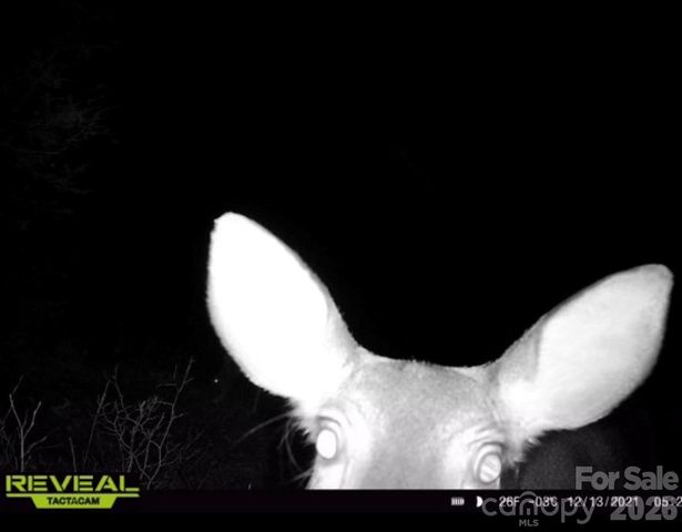 7039 Joe Bowman Avenue, Newland, NC 28657