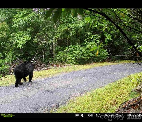 7039 Joe Bowman Avenue, Newland, NC 28657