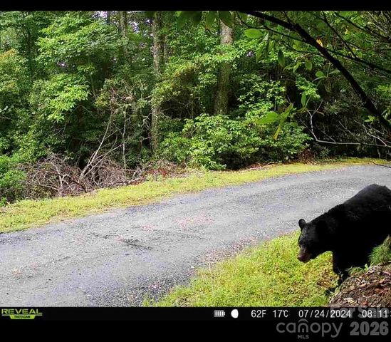 7039 Joe Bowman Avenue, Newland, NC 28657