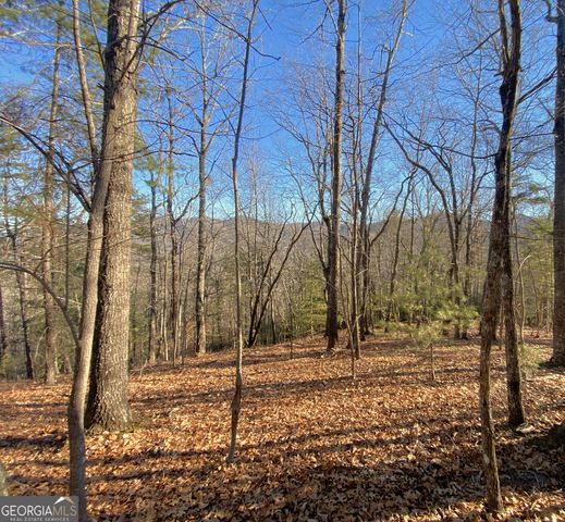 601 Skeenah Springs Road, Blairsville, GA 30512