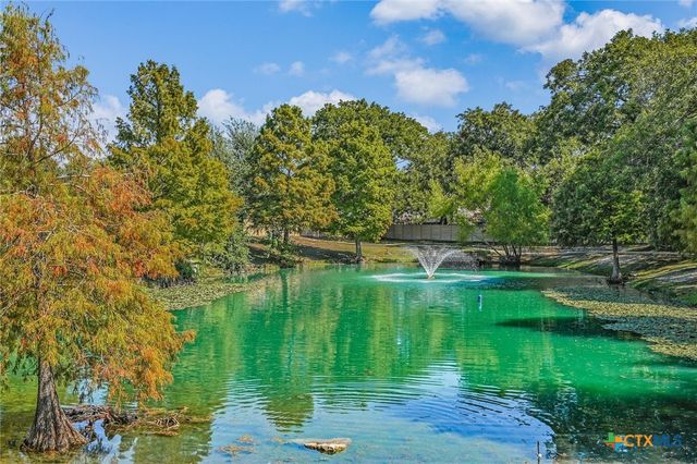 1504 Laurel Oak Loop, Round Rock, TX 78665