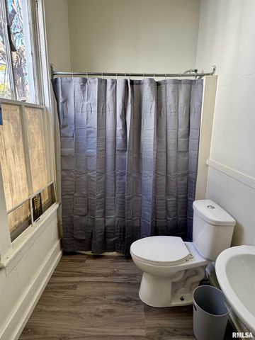 263 S 1ST Avenue, Canton, IL 61520