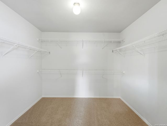 21302 Encino Lookout, San Antonio, TX 78259