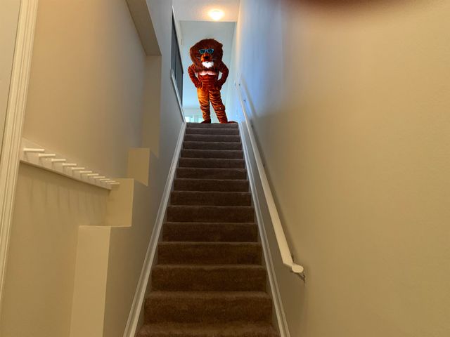 2005 Mariposa Vista Ln 105, St Augustine, FL 32084