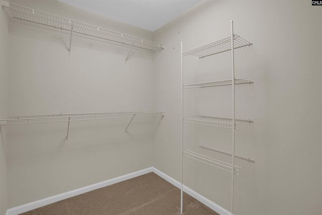 869 Sandmyrtle Circle, Columbia, SC 29229