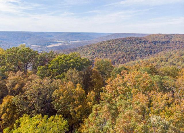390 Volunteer Street Jf-365, Jasper, TN 37347