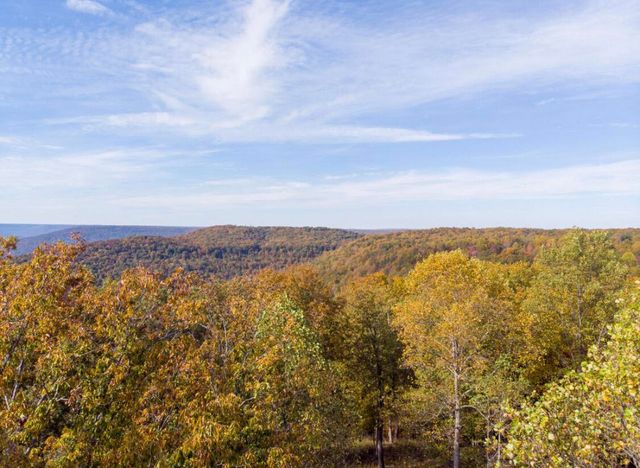 390 Volunteer Street Jf-365, Jasper, TN 37347