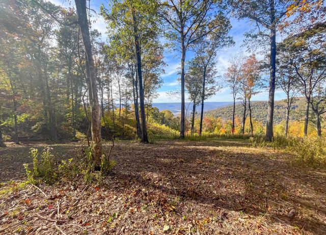 390 Volunteer Street Jf-365, Jasper, TN 37347