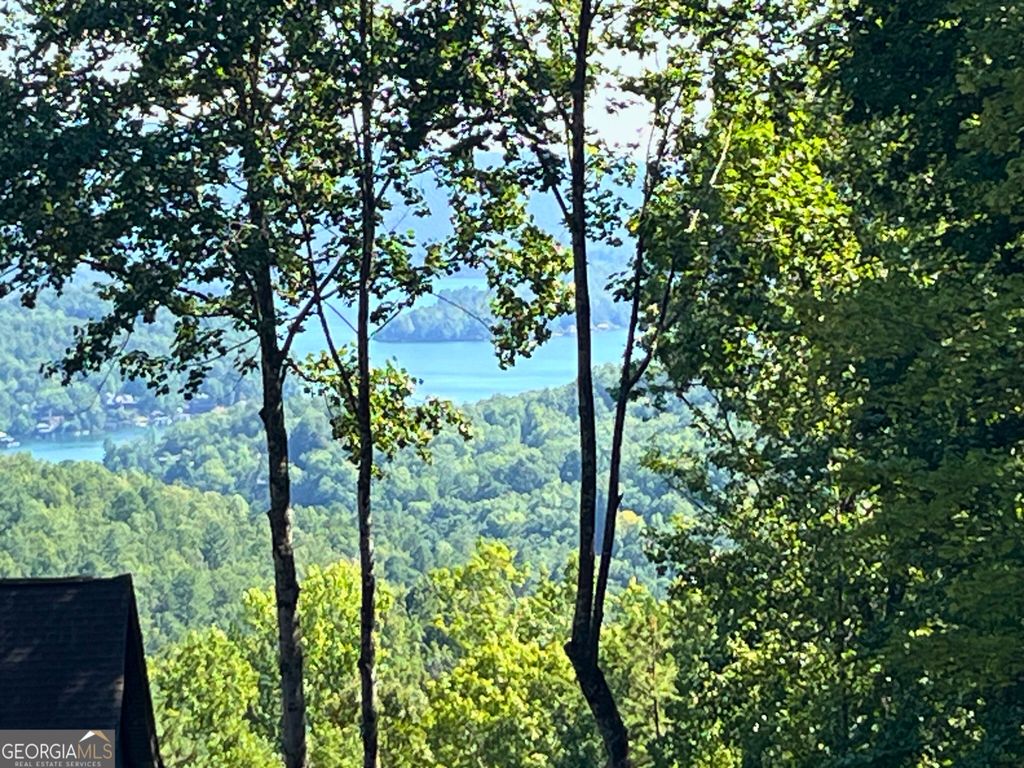 LOT 8 Lake View, Clayton, GA 30525 — photo 2
