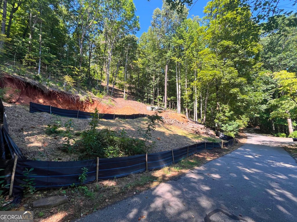LOT 8 Lake View, Clayton, GA 30525 — photo 3