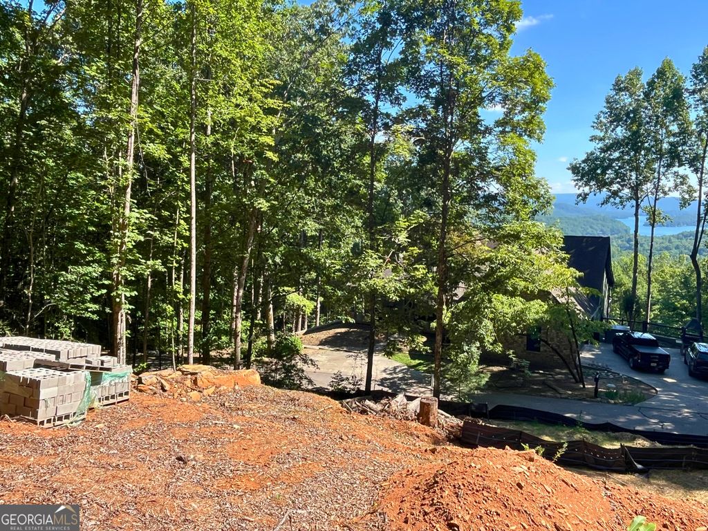 LOT 8 Lake View, Clayton, GA 30525 — photo 4