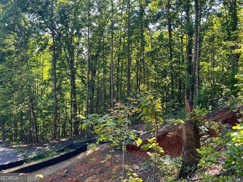LOT 8 Lake View, Clayton, GA 30525 — photo 5