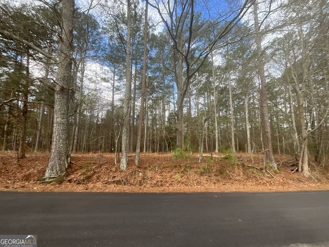 8615 Smith James Road TRACT 2, Snellville, GA 30039