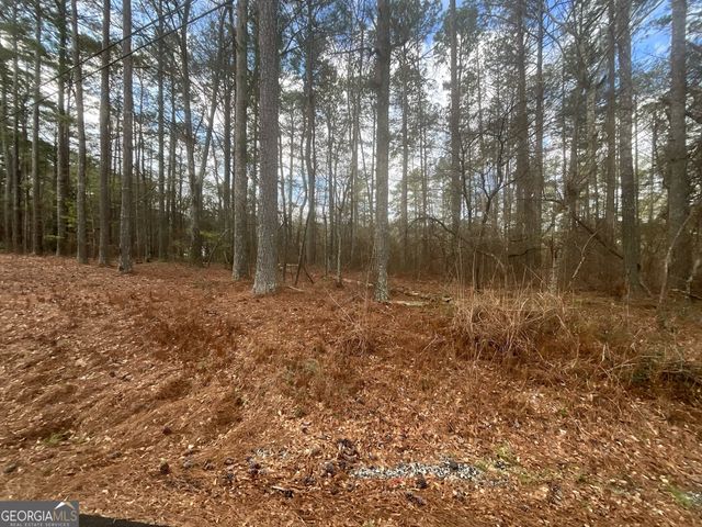 8615 Smith James Road TRACT 2, Snellville, GA 30039