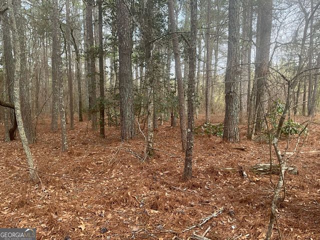 8615 Smith James Road TRACT 2, Snellville, GA 30039