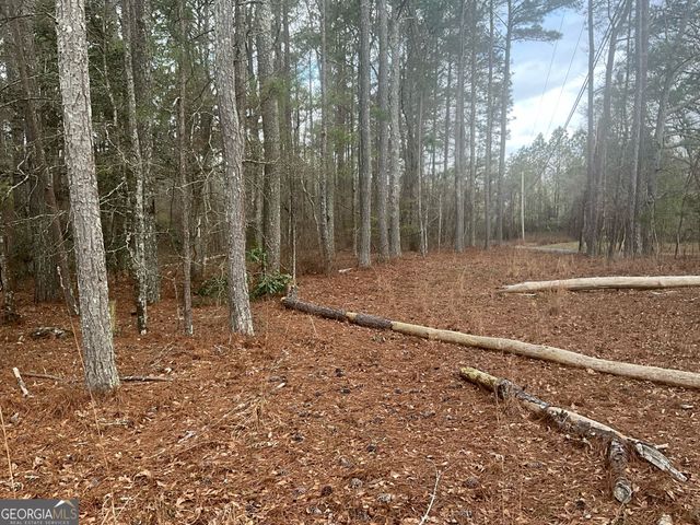8615 Smith James Road TRACT 2, Snellville, GA 30039