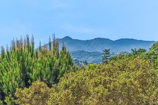 5 Heatherstone Ln, San Rafael, CA 94903