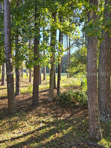 109 General Drayton St, Bluffton, SC 29909