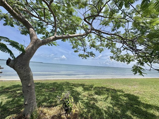 9 HAIG PLACE 810, Dunedin, FL 34698