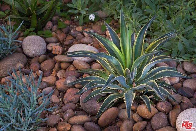 1930 N RODNEY Drive 1934, Los Angeles, CA 90027