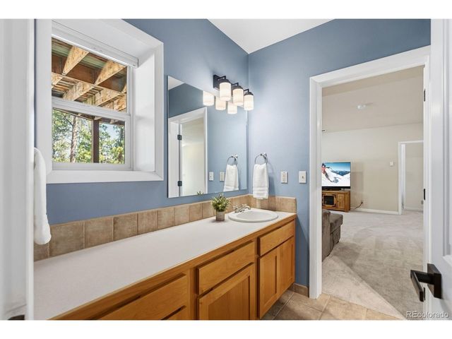 30477 Harvard Cir, Buena Vista, CO 81211