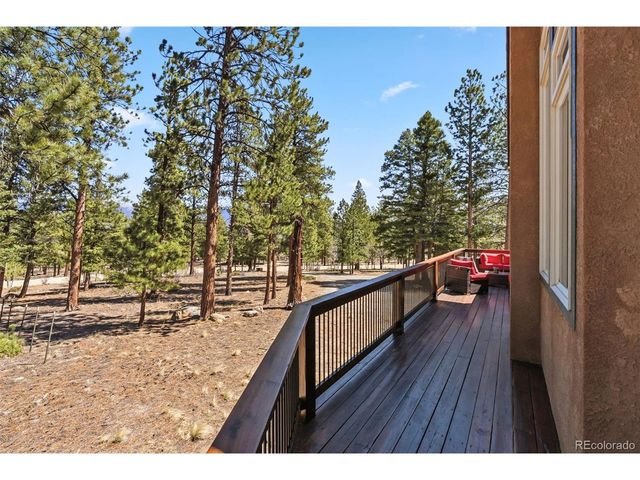 30477 Harvard Cir, Buena Vista, CO 81211