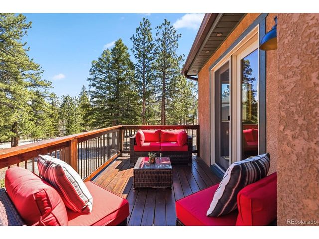 30477 Harvard Cir, Buena Vista, CO 81211