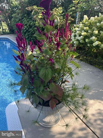 7825-4 DAM NUMBER 4 RD, Williamsport, MD 21795