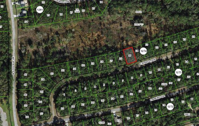 719 E BYRD LOOP, Dunnellon, FL 34434