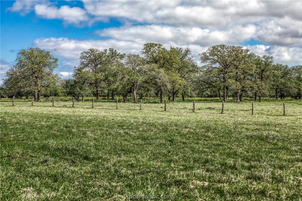 11320 County Road 343, Caldwell, TX 77836 — photo 2