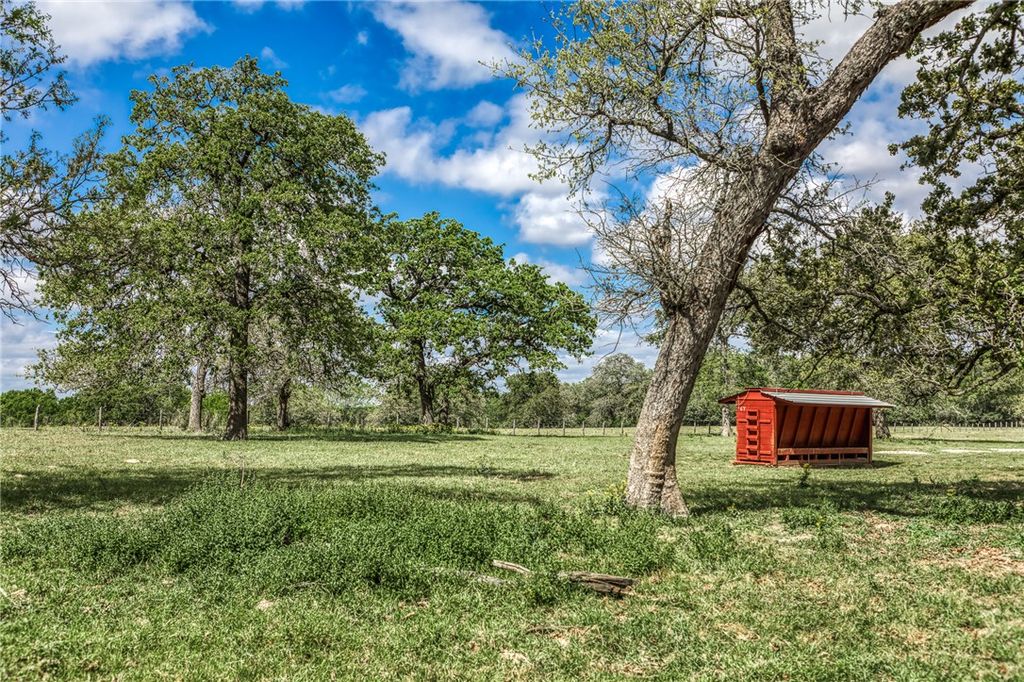 11320 County Road 343, Caldwell, TX 77836 — photo 3